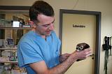 VETERINAIRE NAC 058